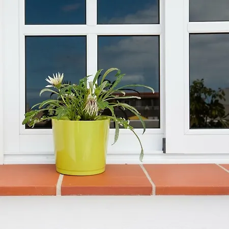 Apartamento Laura